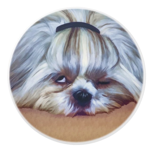 Sleepy Shih Tzu Dog Ceramic Knob (Front)