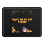 Sleepy sloth ready for Halloween treats! Classic T Hitch Cover
