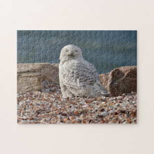 Sleepy Snowy Owl Jigsaw Puzzle