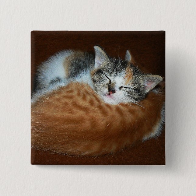 Sleepy soft kittens pinback button (Front)