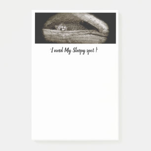 "Sleepy Spots" Post-It Notes, 4 x 6 Notes
