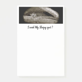 "Sleepy Spots" Post-It Notes, 4 x 6 Notes