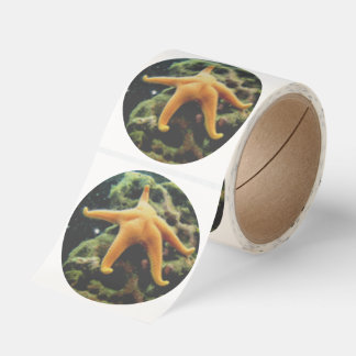 Sleepy starfish classic round sticker