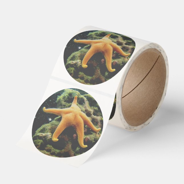 Sleepy starfish  classic round sticker (Roll)