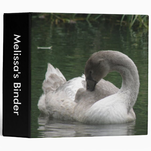 Sleepy Swan Custom Binder (Front/Spine)