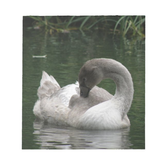 Sleepy Swan Notepad (Front)