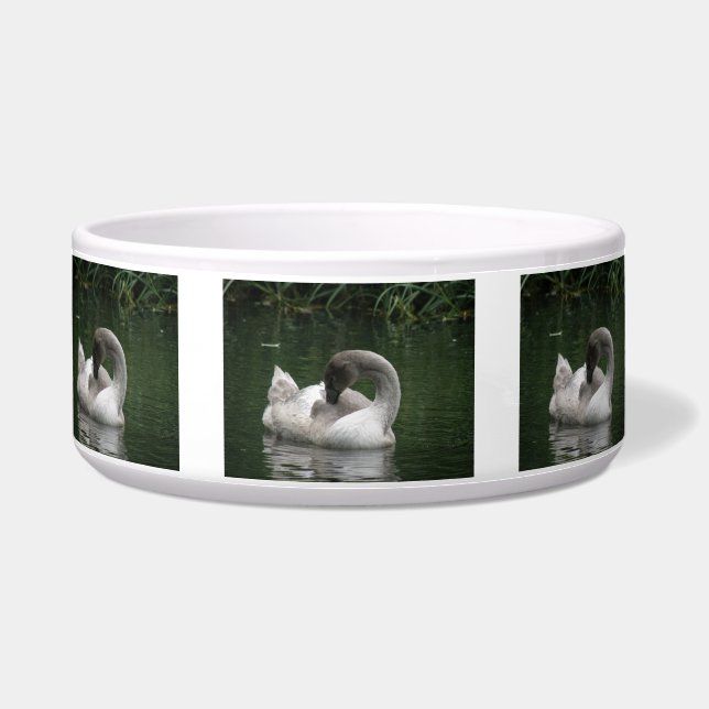 Sleepy Swan Pet Bowl (Front)