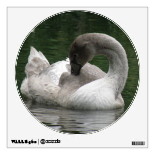 Sleepy Swan Wall Decal