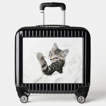 Sleepy Tabby Kitten Luggage by deemac1 at Zazzle