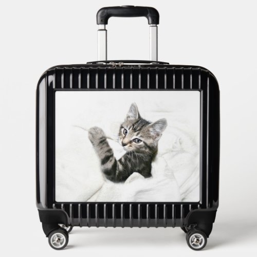 Sleepy Tabby Kitten Luggage