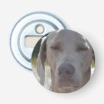 Sleepy Weimaraner Bottle Opener