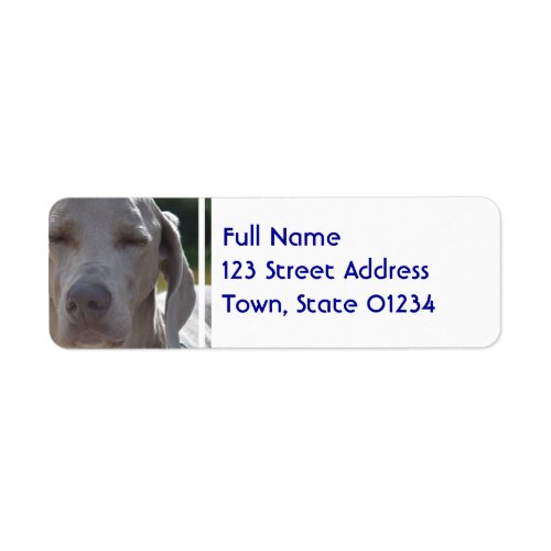 Sleepy Weimaraner Label