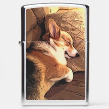 Sleepy Welsh Corgi