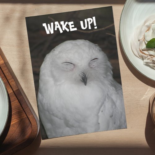 Sleepy White Owl Funny Birthday Card