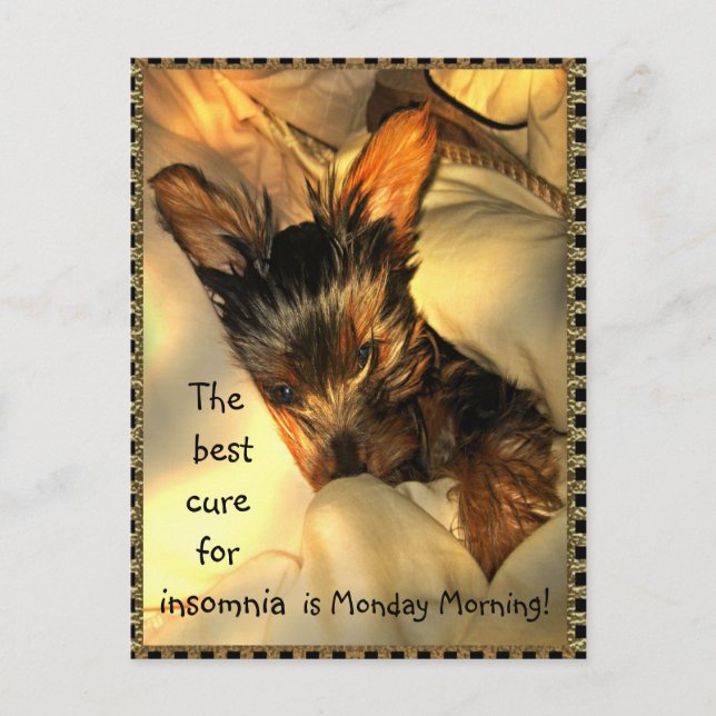 Sleepy Yorkie  Customizable Postcard (Front)