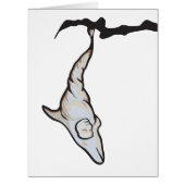 sleepyhead dolphin cocoon (Front)