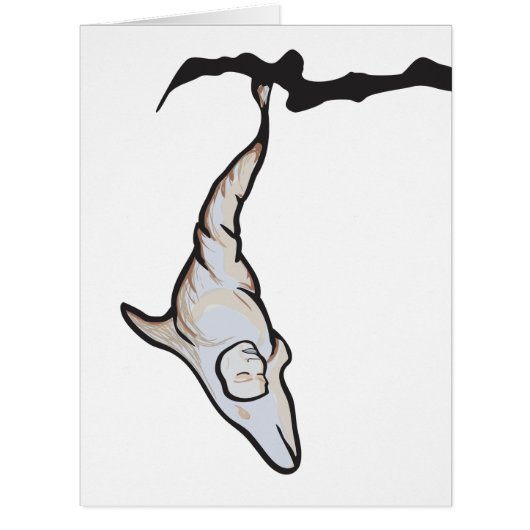 sleepyhead dolphin cocoon (Front)