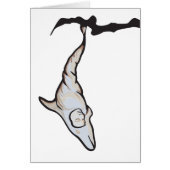 sleepyhead dolphin cocoon (Front)