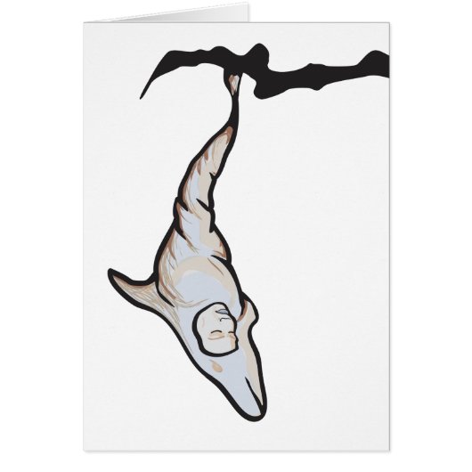 sleepyhead dolphin cocoon cards (Front)