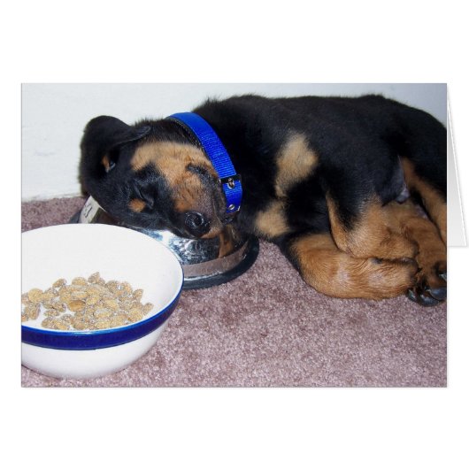 sleepyhead rottweiler. cards (Front Horizontal)