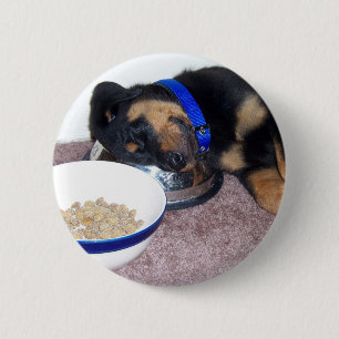 sleepyhead rottweiler. pinback button