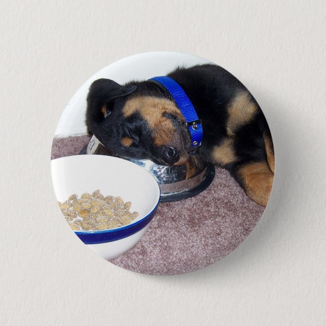 sleepyhead rottweiler. pinback button (Front)