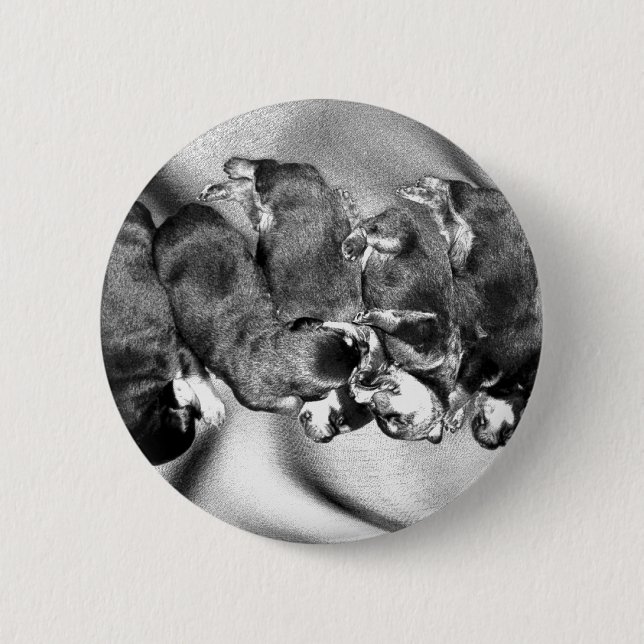 sleepyhead rottweiler puppies button (Front)