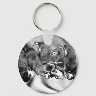 sleepyhead rottweiler puppies keychain