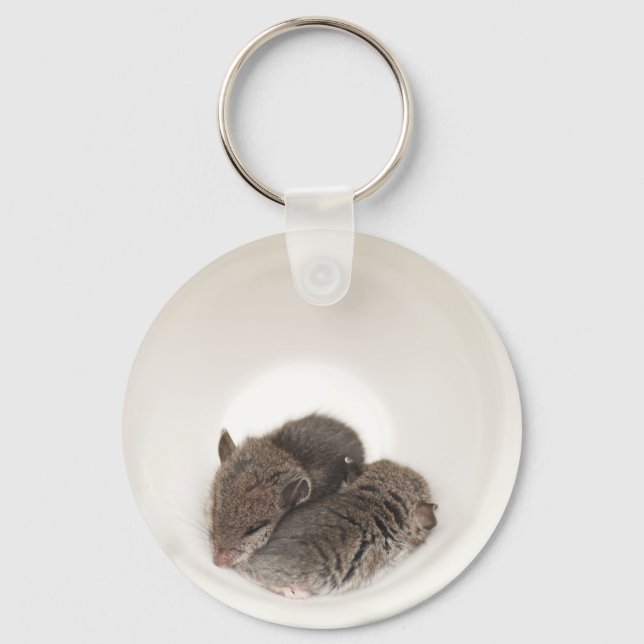Sleepytime Cute Baby Mice Keychain (Front)