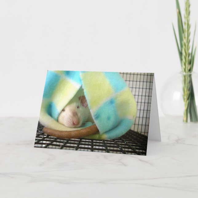 Sleepytime Letterpress Thank You Card (Front)