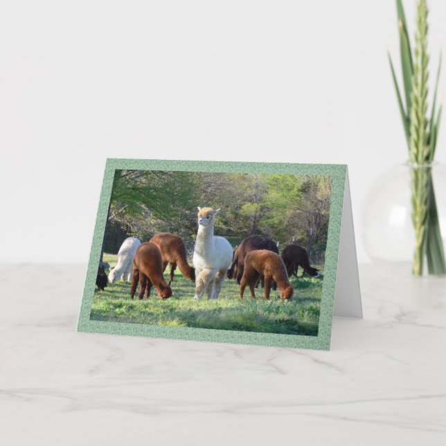 Sleigh Belle Christmas Card (Front)