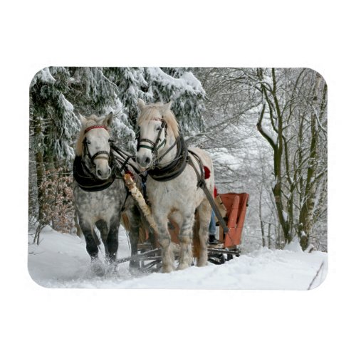 Sleigh Ride in Winter Wonderland Magnet