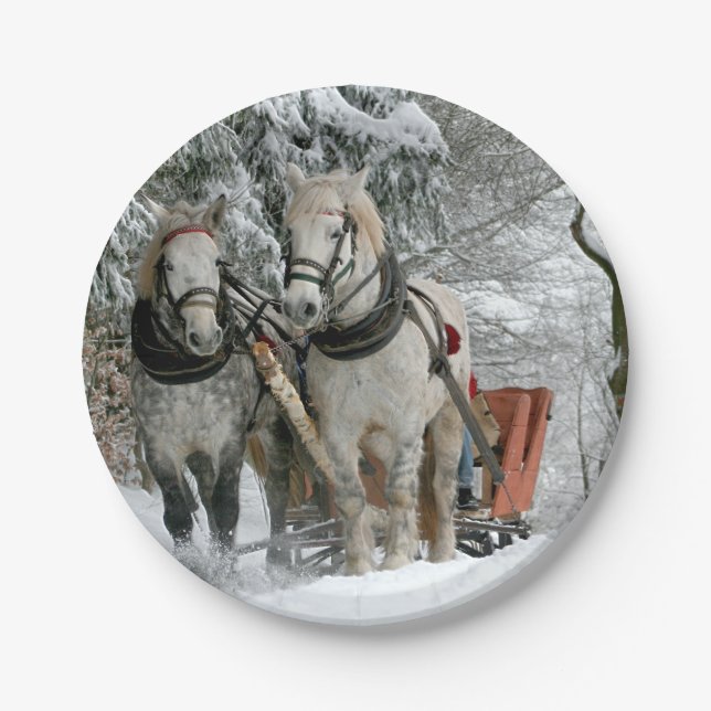Sleigh Ride in Winter Wonderland Paper Plates (Front)