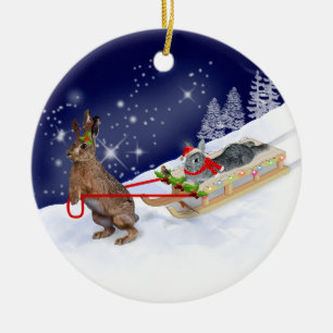 Sleigh Ride Ornament