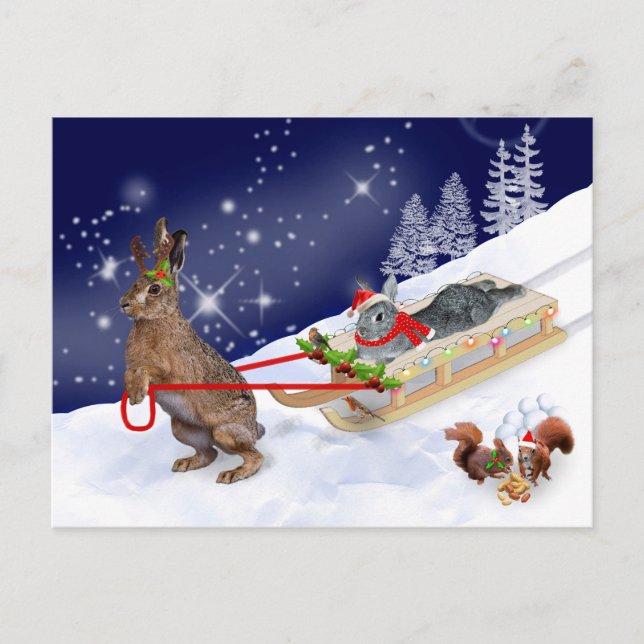 Sleigh Ride Postcard (Front)