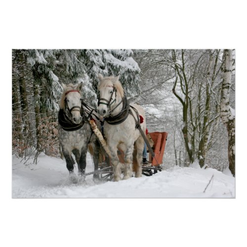 sleighridesnowforesthorsewinterwhitegallop poster