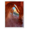 Slender Arch