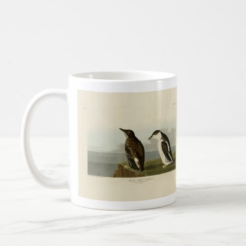 Slender_billed Guillemot Audubon Birds of America Coffee Mug