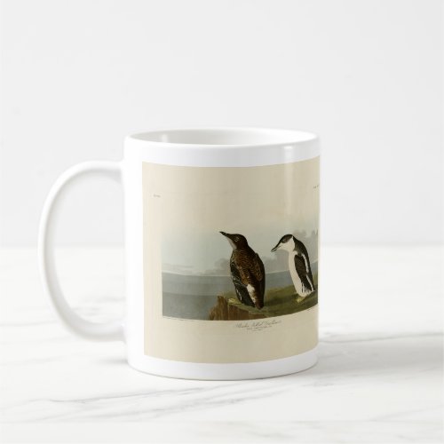 Slender_billed Guillemot Audubon Birds of America Coffee Mug