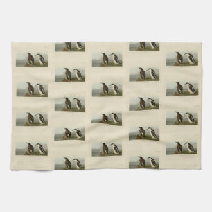 Slender-billed Guillemot, Audubon Birds of America Kitchen Towel