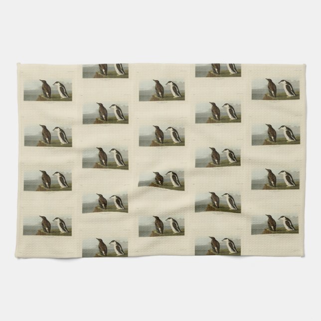 Slender-billed Guillemot, Audubon Birds of America Kitchen Towel (Horizontal)