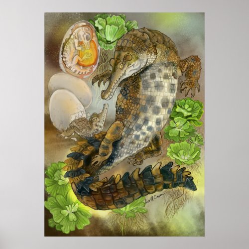Slender Snouted Crocodile Poster
