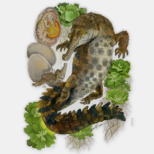 Slender Snouted Crocodile Sticker