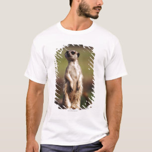 slender-tailed meerkat T-Shirt