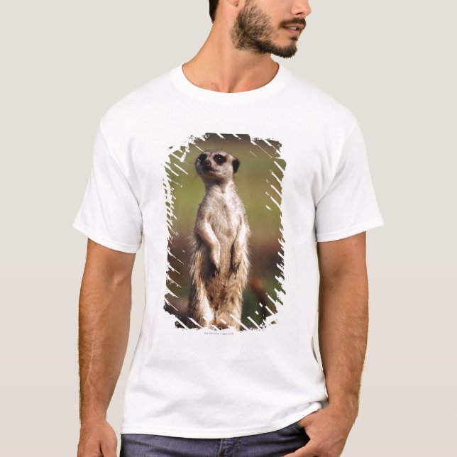slender-tailed meerkat T-Shirt (Front)