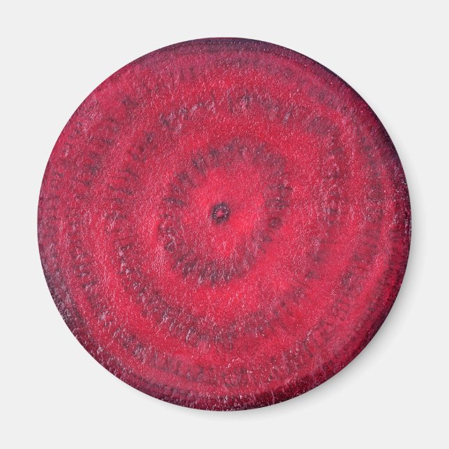 Slice of beetroot magnet (Front)