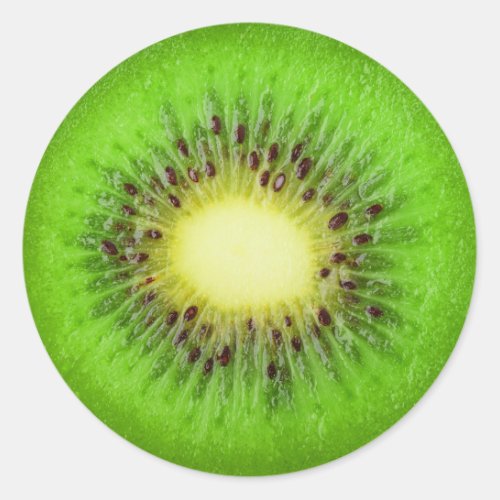 Slice of kiwi classic round sticker