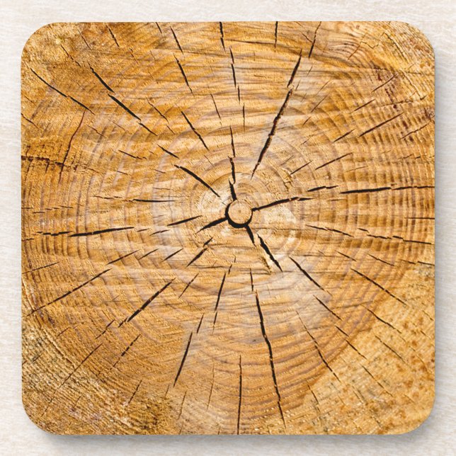 Slice of Life Coaster (Front)