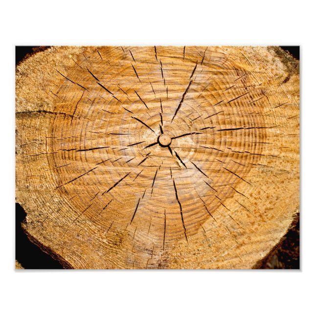 Slice of Life Photo Print (Front)