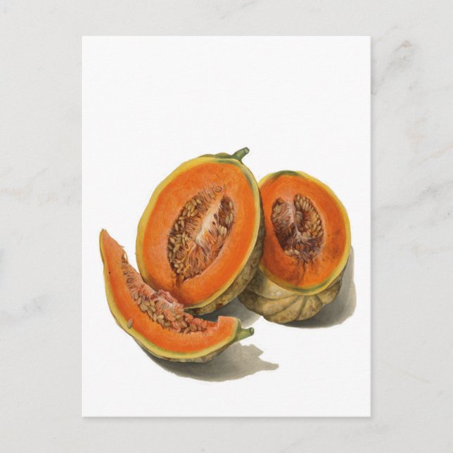 Sliced cantaloupe melon illustration card (Front)